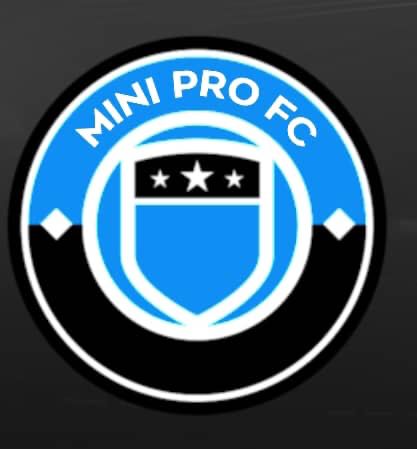 Logo MINI PRO